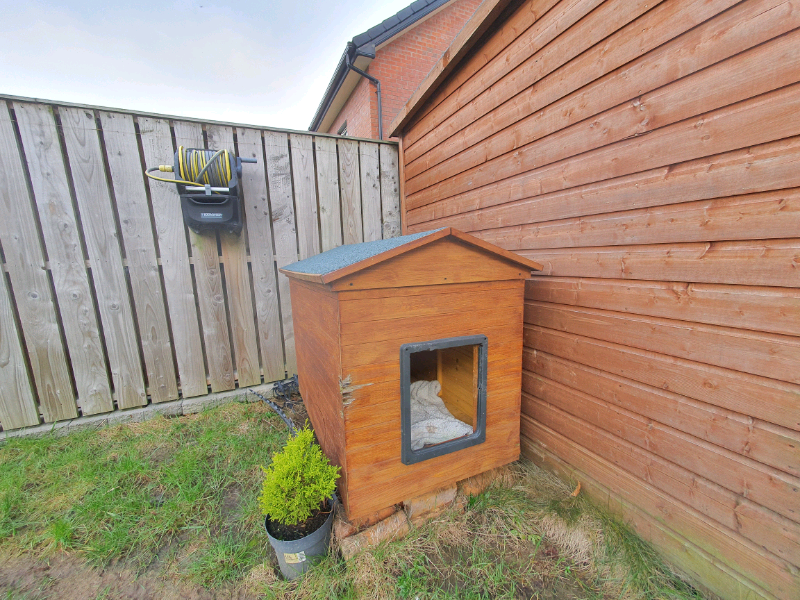 dog house gumtree